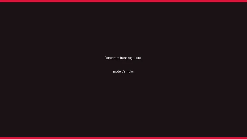 Rencontre trans régulière : mode d'emploi